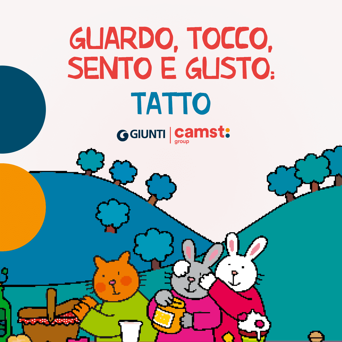 bucce e gusci